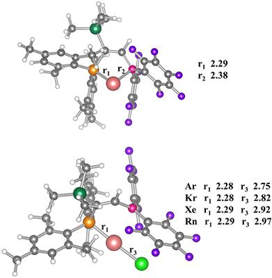 Noble Gas Binding Ability of an Au(I) Cation Stabilized by a Frustrated Lewis Pair: A DFT Study